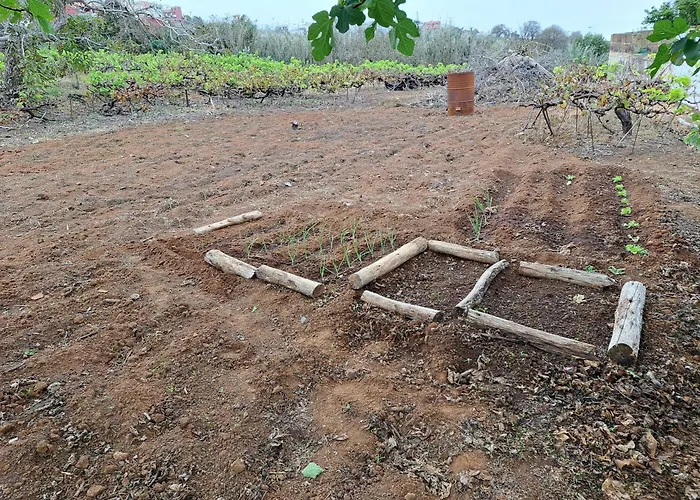 Finca Mamposo