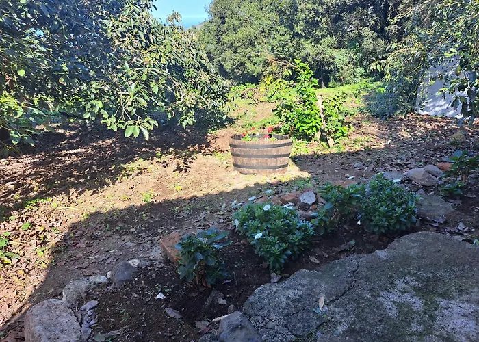 Finca Mamposo