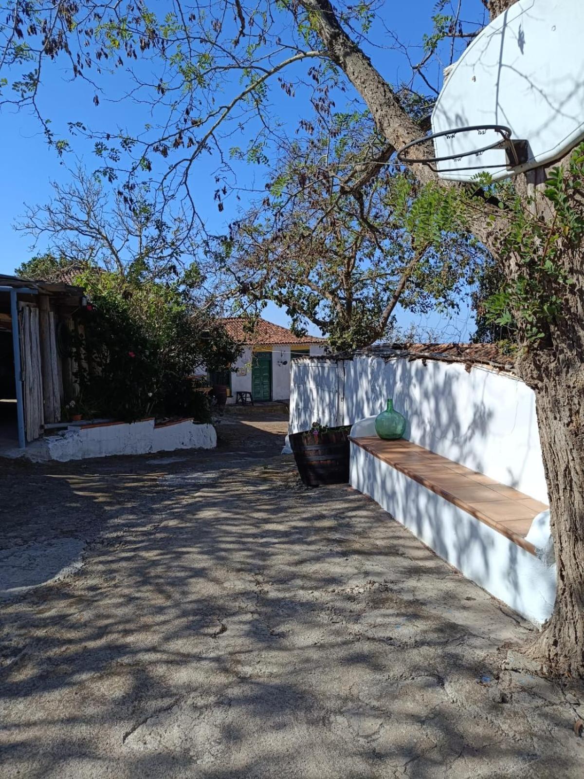 Mamposo Holiday home Tacoronte